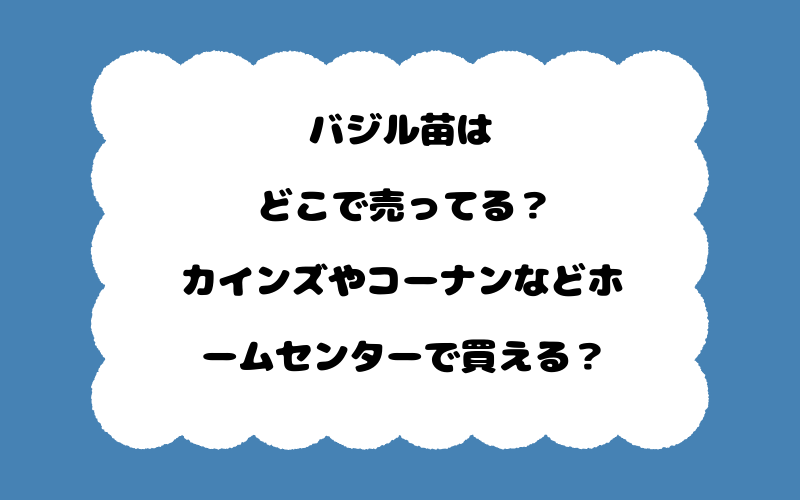 バジル苗はどこで売ってる？カインズやコーナンなどホームセンターで買える？
