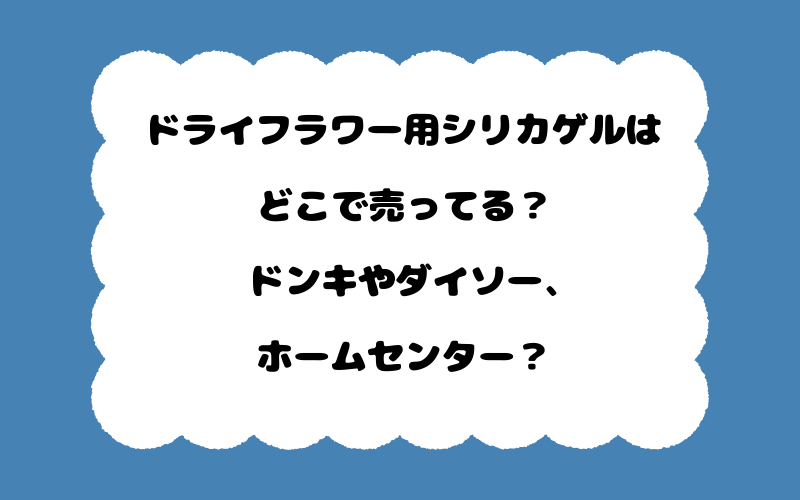 ドライフラワー用シリカゲルはどこで売ってる？ドンキやダイソー、ホームセンター？